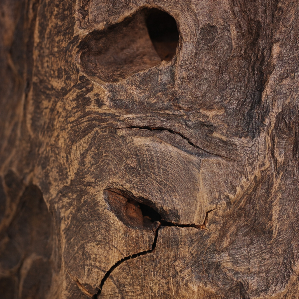 Monroe 19.7" Solid Teak Root Side Table